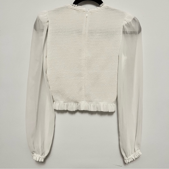 Aritzia Wilfred Tempest smoked chiffon blouse in light birch xs - Picture 2 of 6